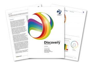 Insights Discovery profiel & Terugkoppelgesprek