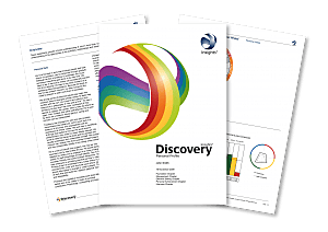 Insights Discovery profiel & Terugkoppelgesprek